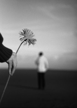 название название