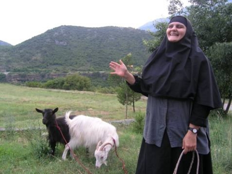 Сербское гостеприимство 