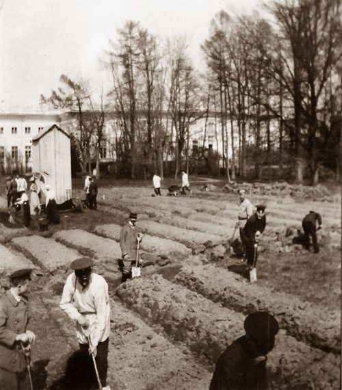 Царское Село, 1917