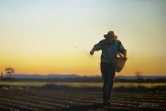 Семя даст Господь