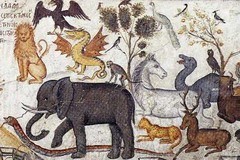 Назидательное драконоведение