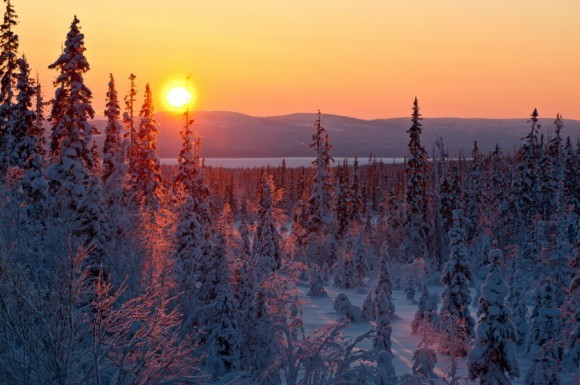 Зимнее солнце. Хибины, Кольский полуостров.  Автор: Борис Вахмистров