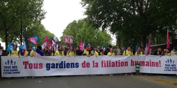 Франция против однополых браков (6)