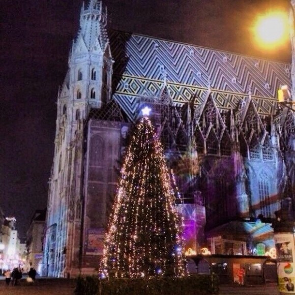 Фото: Елизавета Кулик