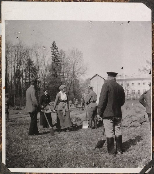 during captivity working in their garden on the grounds of Tsarskoe Selo-their palace standing in the distance.