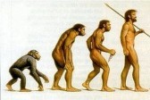 Креационизм vs. Эволюция — лучшие материалы
