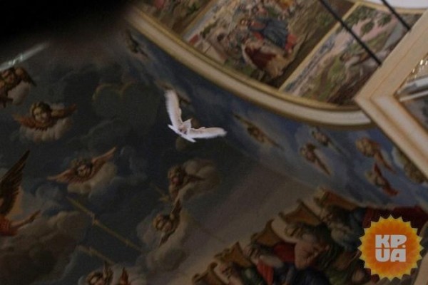 Перед молебном, который совершал митрополит Онуфрий, в храм залетел белый голубь