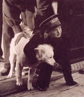 a26012d868807bceae0240145b0b5d48