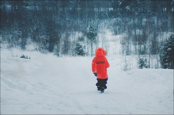 Памятка ребенку: что делать, если ты заблудился в лесу?