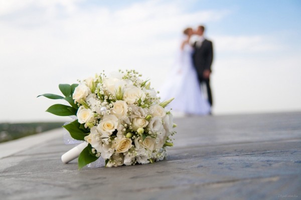 В Госдуме предлагают проверять способность женихов и невест к деторождению до свадьбы