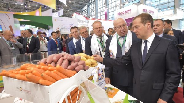 Падение настоящих доходов населения сказалось на торговле — Медведев