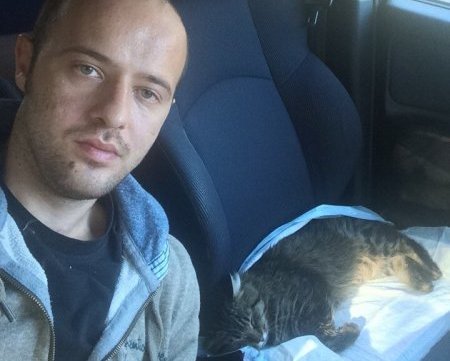 Житель Ростова написал рассказ от имени спасенного им кота Васи