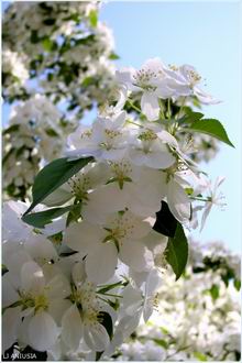 Фото: Анна Марчук