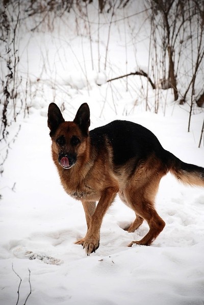  Бурдин М. (с)