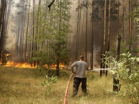 Пожарные в пригороде Воронежа Пожарные в пригороде Воронежа