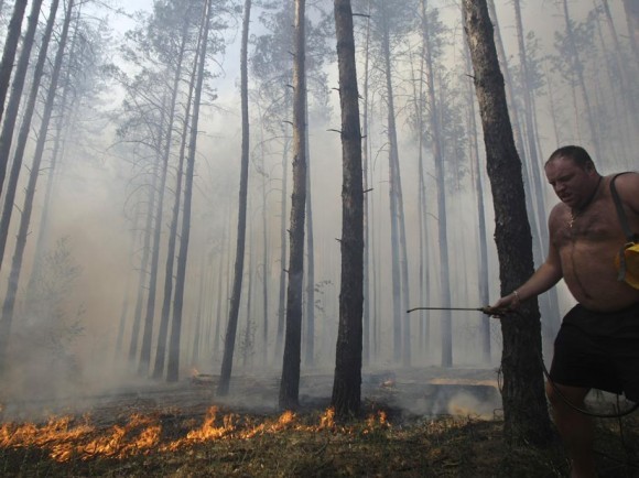 Местный житель старается потушить пожар в воронежском лесу Местный житель старается потушить пожар в воронежском лесу