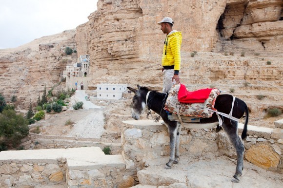 Арабы предлагают услуги своего транспорта, громко крича: "Такси! Такси!"