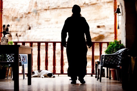 В монастыре очень любят собак, которые здесь добродушны и ласковы