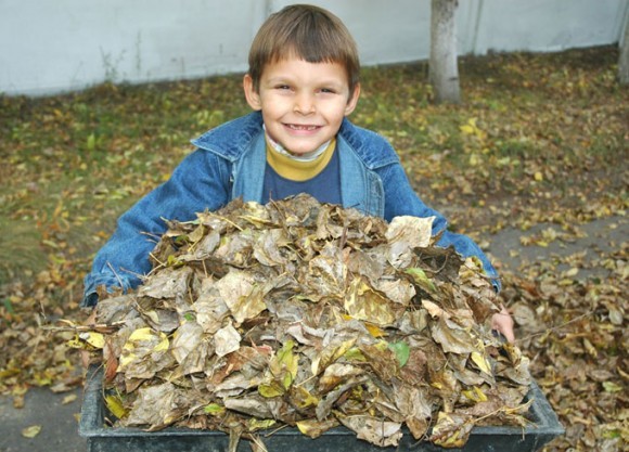 Реутовский детский дом Реутовский детский дом
