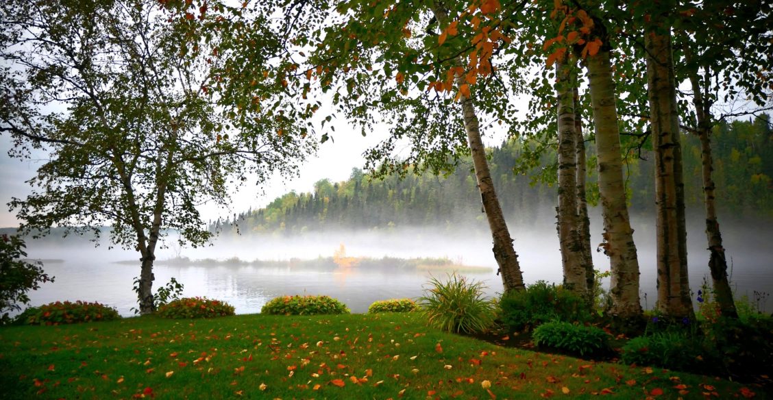 стихи о патриотизме