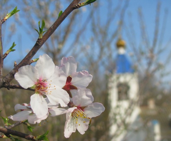 photosight.ru. Фото: Ганичева Наталья