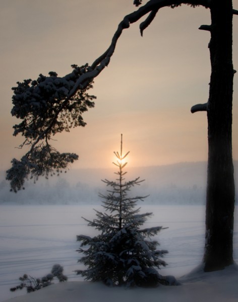 Вечерний туман на Вуоксе. Озеро Вуокса, Карельский перешеек Ленинградской области. Автор: Виктор Калеченков