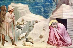 Дети — это больше, чем просто дети