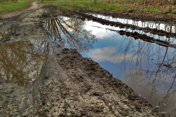 Фото: Виталий Чвирук, photosight.ru