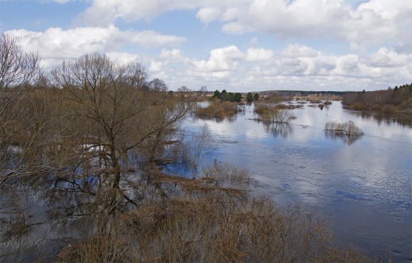 Фото: Анатолий Максимов, photosight.ru