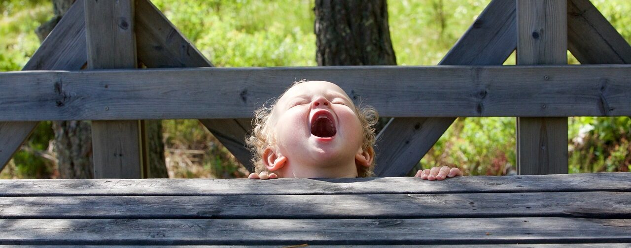 Детские истерики