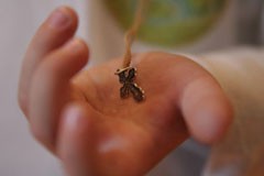 Предкрещальные беседы: как довести человека до Церкви?