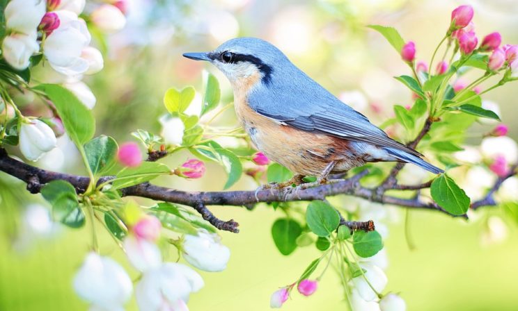 Красная горка - праздник весны