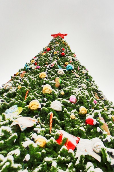 Фото Анны Гальпериной