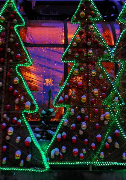 Фото Анны Гальпериной