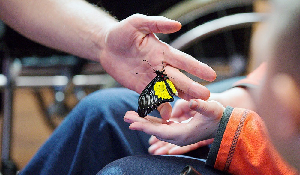 Не «елка для детей-инвалидов»