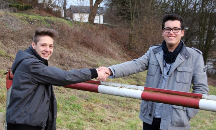 толерантность