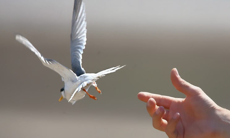 Игумен Нектарий (Морозов): Куда уходит пасхальная радость?