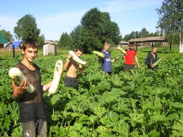 «Школа фермеров Пермского края»