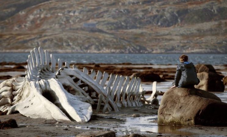 Поймать Левиафана