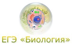 ЕГЭ-Биология. Узнай свой результат!