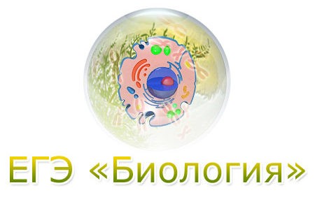 ЕГЭ-Биология. Узнай свой результат!