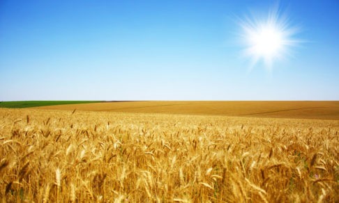 Cвященники Украины о ситуации в стране