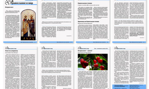 Православная стенгазета № 24 (234)