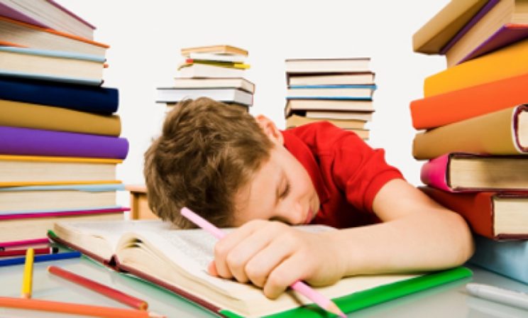 Песталоцци ХХI, или Школьная каторга