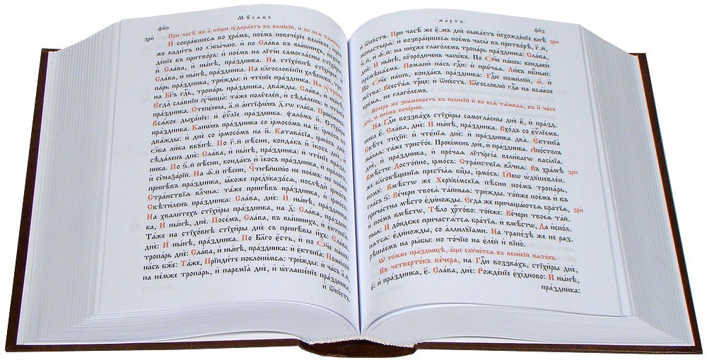 типикон, глава 28. старинная книга типикон. греческом типикон*,. типикон на церковно-славянском. типикон на церковно славянском языке.