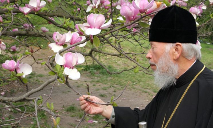 Двадцатилетие Предстоятельского служения Блаженнейшего Митрополита Владимира (Видео)