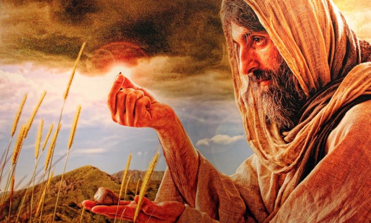 Притча о сеятеле: насколько Слово Божие будет живым и действенным в нашем сердце?