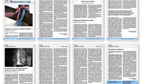 Православная стенгазета № 44 (254)