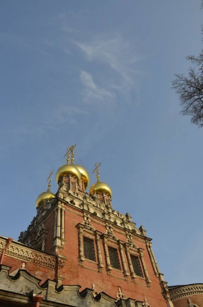 10744771_803577503039617_11108581_n