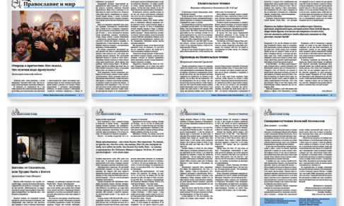Православная стенгазета № 45 (255)